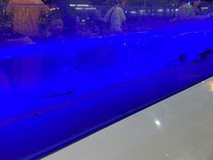 -芭提雅Amporn Seafood自助餐厅