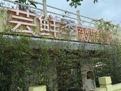 -芸鲜季·云南野生菌餐厅· 云南风物味研社(闵行店)