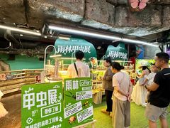 -正佳雨林生态植物园