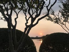-夏阳湖皇冠假日酒店-自助餐厅