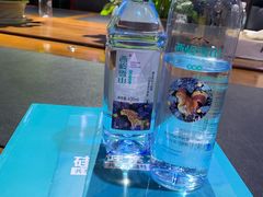 -西岭雪山大飞水景区