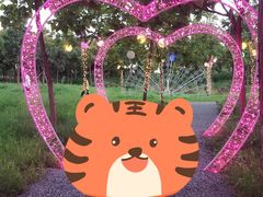 -北京鹿世界主题园