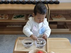 -玛利娅蒙特梭利早教·托育(麒麟门银亿东城直营校区)