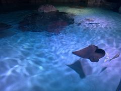 -沈阳海洋探索中心