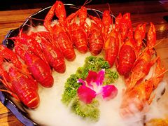 -红盔甲·小龙虾(人民广场店)