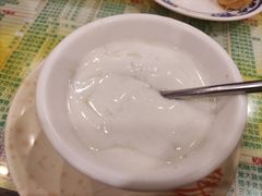 姜撞奶-顺记冰室(宝华路店)