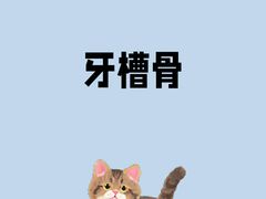 -劲松口腔医院(蓝色港湾院)