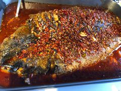 黑鱼-鱼酷活鱼烤鱼(中联广场店)