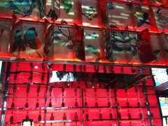 -百威KTV(恒福路店)
