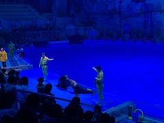 -芜湖新华联大白鲸海洋公园