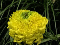 -汇龙潭