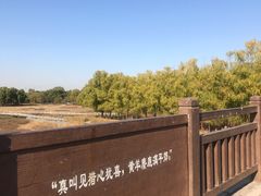 -北京麋鹿生态实验中心