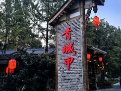 -青城甲(青城山店)