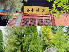 -洛阳白马寺
