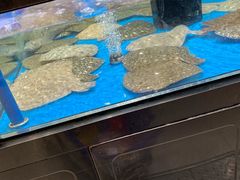 水产区-盒马鲜生(联投广场店)