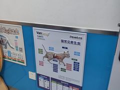 -康爱犬猫诊所·牙专科·骨外科·影像内科(丰宁店)