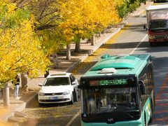 -大连市甘井子区体育场