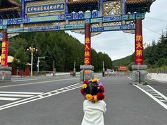 -塞罕坝国家级自然保护区