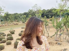-东莞植物园