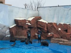 -上海海昌海洋公园