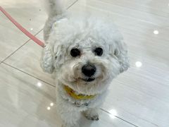-开元商城(西旺店)