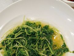 -潇湘华天大酒店-湘·悦美食街(芙蓉中路店)