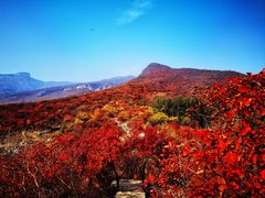 -周口店坡峰岭风景区