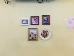 -猫色咖啡·猫咖