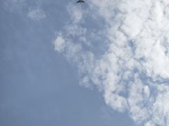 -广州白天鹅宾馆