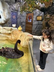 -Zoolung Zoolung动物主题公园(海信广场店)