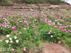-金堂县云顶石城风景区