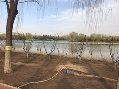 -大兴滨河森林公园