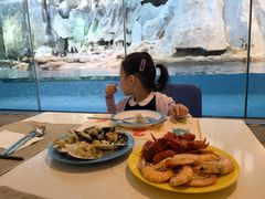 -帝企鹅自助餐厅•儿童岛•真企鹅(长隆企鹅酒店)