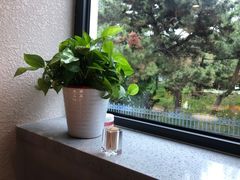 靠窗位-海味当家·蒸锅海鲜(星海公园店)