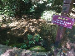 -海南热带雨林国家公园吊罗山景区