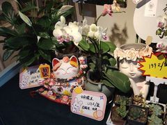 -EGO原创机械密室逃脱(朝阳大悦城2店)