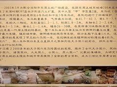 -洛阳周王城天子驾六博物馆