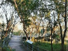 -西湖风景区-江洋畈生态公园