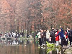 -重庆彩云湖湿地公园