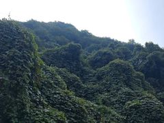 -秦岭风景区
