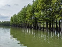 -苏州太湖国家湿地公园
