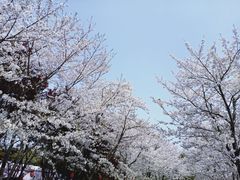 -自然谷恐龙园