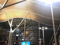 -上海浦东国际机场-T2航站楼