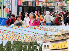 -云南民族村