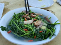 蚝汁西洋菜-蚝家菜馆(沙井店)