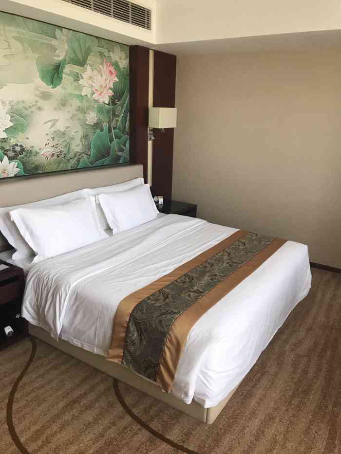 东台仁达都喜天丽酒店-"在东台的新城,对旅游的人来讲,方便,车送.