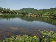 -石塘人家