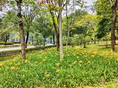 -中国移动南方基地