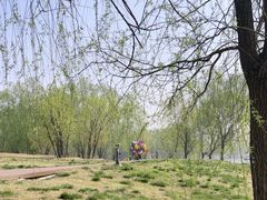 -马家湾湿地公园