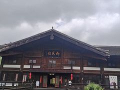 -大唐贡茶院